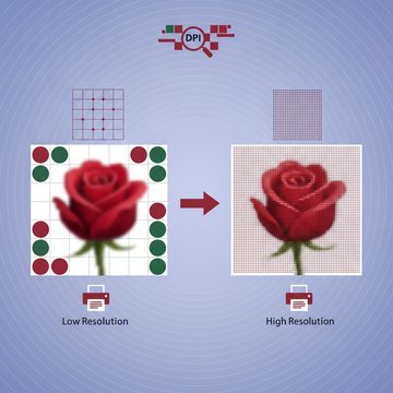 A split-screen parrot illustration comparing low DPI blurry output on the left with high DPI sharp output on the right.